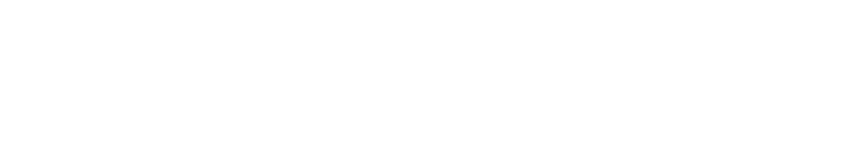 Digital Reflection